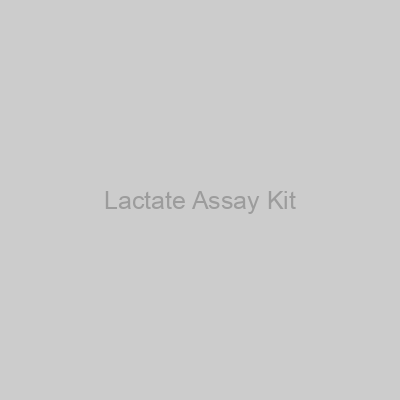 Lactate Assay Kit